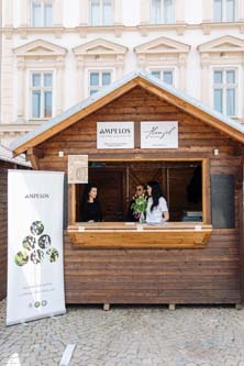 Festival vína VOC Znojmo
